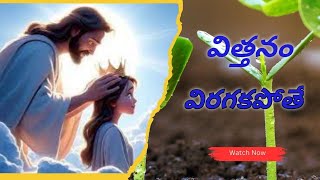 విత్తనం విరుగకపోతే ||vittanam virugakapote song|| spiritual worship songs.