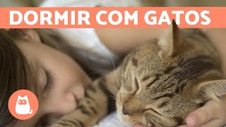 Faz mal DORMIR com GATOS? - Prós e contras