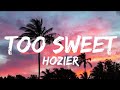 Hozier - Too Sweet (Lyrics).