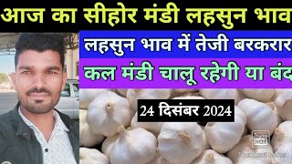 24 दिसंबर 2024 सीहोर मंडी लहसुन भाव today MP Sehore Mandi garlic price।