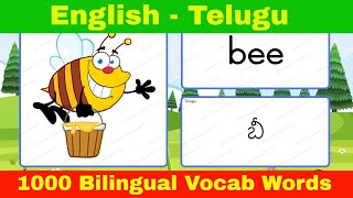 📌Learn English Telugu Vocabulary with Pictures for Beginners : ఇంగ్లీష్ తెలుగు పదజాలం నేర్చుకోండి