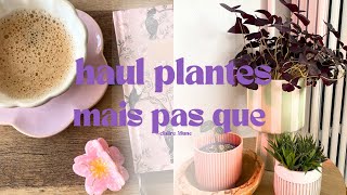 Haul plantes mais pas que 🌸🦋🍄