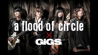 GiGS4月号 a flood of circleスペシャル・ムービー