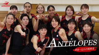 Antelopes 革命―12人の挑戦者｜トヨタイムズスポーツ