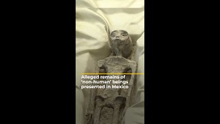 Alleged remains of ‘alien-like’ being presented in Mexico | AJ #shorts