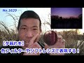 【江戸川の夕暮れを】色フィルターとソフトレンズで表現する（動画no.1629）