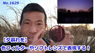 【江戸川の夕暮れを】色フィルターとソフトレンズで表現する（動画No.1629）