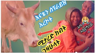 ለእናቴ  ከብት ከዛሁላት ለአመት ባል ሚታረድ በደስታ አለቀስች የእናቴ ደስታ በማየቴ ደስ ብሎኛል