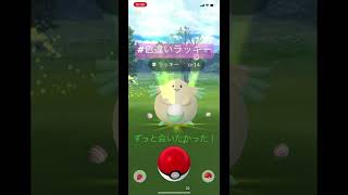 ずっと会いたかった！#ポケモンgo #色違い #ゲットチャレンジ #ラッキー