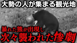 【乗鞍岳クマ襲撃事故】次々と熊に襲われた大勢の観光客。その結末は...