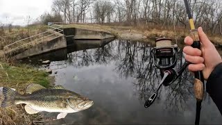 This Tiny Spillway Is Loaded With Fish!!