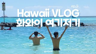 🌴하와이 브이로그 / 5박7일 여행코스 ep2 | 쿠알로아랜치 정글투어, 패러세일링, 할로나블로우홀, 돌플레이션🍍