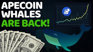 🔥 APECOIN IS GOING TO DO A 300%+ MOVE IF THIS HAPPENS!! | APECOIN PRICE ANALYSIS | CRYPTO NEWS