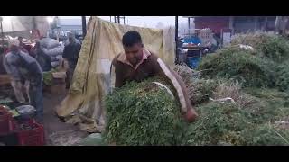 faridkot fruit market price today ||ਫਰੀਦਕੋਟ ਫਲ ਮਾਰਕੀਟ /fruit market faridkot