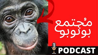 إجلس و خلي زير نساء يفهمك ماذا تريد النسويات