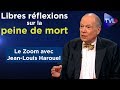 Libres réflexions sur la peine de mort - Le Zoom - Jean-Louis Harouel - TVL