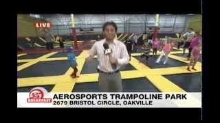 CP24 at Aerosports