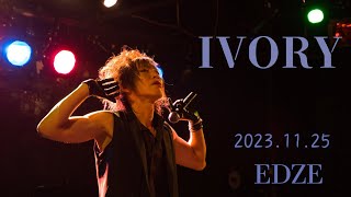 【IVORY】2024.11.23