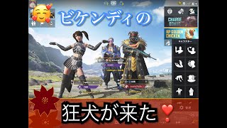 【PUBGモバイル】ビケンディの狂犬とお祭り♪　＃iPadmini5　＃フルジャイロ　＃ドン勝　＃５本指　＃ボタン配置