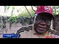 Tendai Biti Blasts Mnangagwa and Kuda Tagwirei