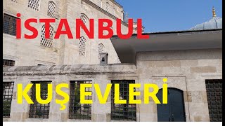 Kuşlar Kuş Evleri Yeni Camii Kuş Evleri (Eminönü Yeni Camideki Kuş Evlerine Gittim)