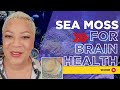 Sea Moss 🧠 A Superfood for Your Brain 🧠