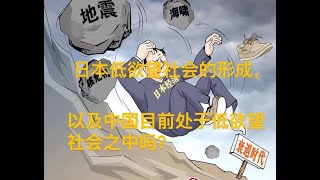 日本低欲望社会的形成，以及中国现在处于低欲望社会吗？