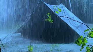 RAIN On TENT Sleep Sounds · BLACK SCREEN Relaxing Rain For Sleep, Study, Focus, Meditation.mp4