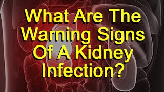 What Are The Warning Signs Of Kidney Infection?