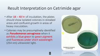 Pseudosel Cetrimide agar