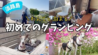 愛犬と初めて泊まるグランピングが最高でした！【イタグレ】【ウィペット】