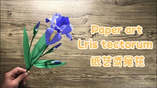 纸艺鸢尾花 Paper art Lris tectorum