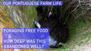 FORAGING FREE FOOD & AN ABANDONED WELL - ON OUR PORTUGUESE FARM -FUNDAO HOMESTEAD - BUILDING FENCING