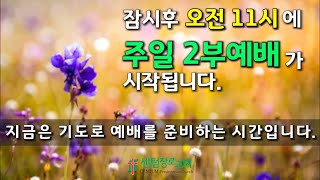 [센텀장로교회] 20230129 | 주일예배 | 바닥 위에 굳게 서라!