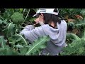 【農業公園信貴山のどか村】野菜の収穫をするあい❤ブロッコリー・白ねぎ・大根www