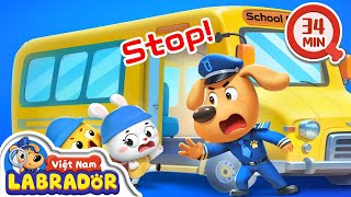 🚌 An toàn trên xe buýt trường hoc 👮 Cảnh sát trưởng Labrador Vietnam 🚔