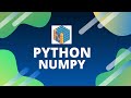 Python Numpy Tutorial
