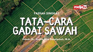 Tata-Cara Gadai Sawah - Ustadz Dr Syafiq Riza Basalamah