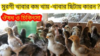 মুরগি খাবার কম খায় | মুরগির খাবার ছিটায়|| মুরগির হজম শক্তি কম | মুরগি ঝিমাই।  জেনে নিন সঠিক তথ্য