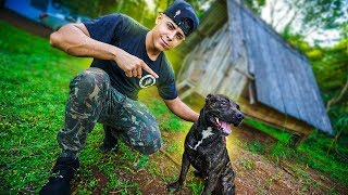 LEVEI MEU CACHORRO NO NOSSO SITIO