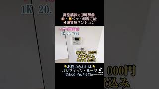 エグゼ難波南。御堂筋線大国町駅前の分譲賃貸マンション！動画最後のLINEQRからリモート内見・オンライン契約受付しています。口コミ入力で仲介手数料0円！