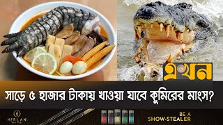 তাইওয়ানে জনপ্রিয় কুমিরের মাংসের রামেন! | Crocodile Food | Godzilla Ramen | Ekhon TV