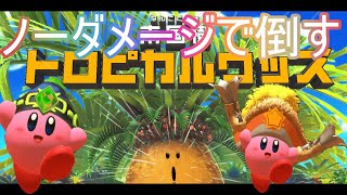 【星のカービィディスカバリー】南国樹トロピカルウッズノーダメージで倒す