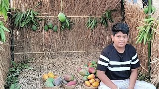 Valsad city mango 🥭 festival ll 02 SWASTIK Tandel ll