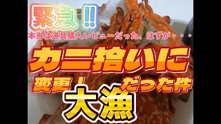 元々、和歌山南部に撮影の予定でしたが、大雪で断念してのカニが拾えると眉唾な情報が垂れ込まれ現地へ・・