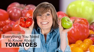 Everything You Need to Know About Tomatoes | You Can Cook That | Allrecipes.com