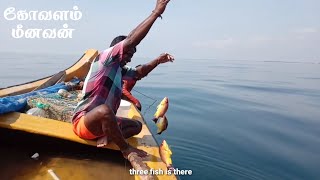 CORAL REEF SIDE COLOURFUL FISHING VIDEO / பவளப்பாறை பகுதியில் வண்ண வண்ண மீன்கள் பிடிக்கும் வீடியோ