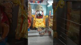 জগন্নাথ দর্শন পুরী #jagannath #puri #shorts #joyjagannath