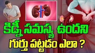 కిడ్నీ సమస్య ఉందని గుర్తు పట్టడం ఎలా ? Kidney Problems | CVR Health