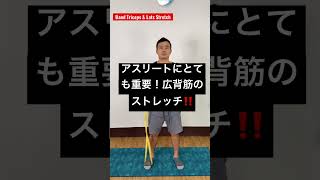 【野球選手はマスト！】広背筋と上腕三頭筋のベストストレッチ‼️ #shorts